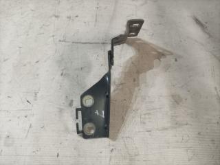 петля капота правая Renault Megane 2 поколение (2002 - 2006), 468184