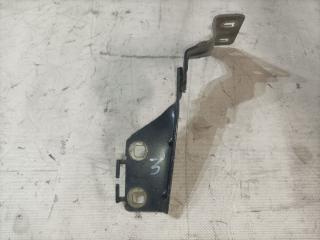 петля капота правая Renault Megane 2 поколение (2002 - 2006), 468184