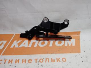 петля капота правая BMW 3 серия E90/E91/E92/E93 [рестайлинг] 2010, 2.0 л., N47 D20 C, дизель, МКПП, седан, задний привод, 7115264, 41617210678