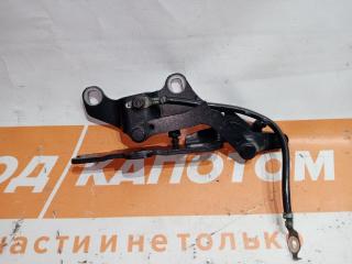 петля капота левая BMW 3 серия E90/E91/E92/E93 [рестайлинг] 2010, 2.0 л., N47 D20 C, дизель, МКПП, седан, задний привод, 7115263, 41617210677