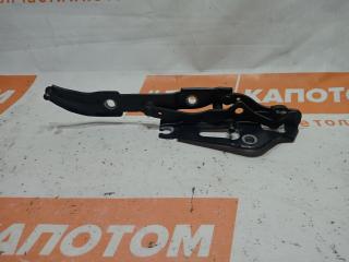 петля крышки багажника BMW 3 серия E90/E91/E92/E93 [рестайлинг] 2010, 2.0 л., N47 D20 C, дизель, МКПП, седан, задний привод, 7060628