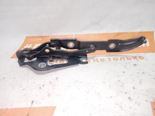 петля крышки багажника BMW 3 серия E90/E91/E92/E93 [рестайлинг] 2010, 2.0 л., N47 D20 C, дизель, МКПП, седан, задний привод, 7060627