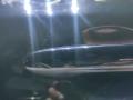 дверь передняя левая Volvo S60 2 поколение 2012, 1.6 л., B 4164 T, бензин, МКПП, седан, передний привод, 32291064 - фото №6