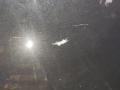 капот Volvo S60 2 поколение 2011, 3.0 л., B 6304 T4, бензин, АКПП, 452, универсал, полный привод, 30779059, 31335350 - фото №6