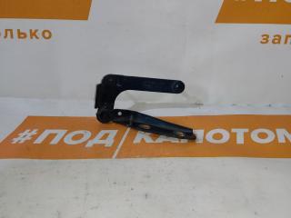 петля капота правая Ford C-Max 1 поколение (2003 - 2007), 3M5116800AE
