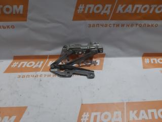 петля капота правая Opel Insignia 1 поколение (A) (2008 - 2014), 12841601