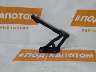 петля капота левая BMW 5 серия E60/E61 (2002 - 2007), 41617120275, 41517008727