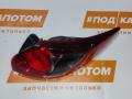 фонарь задний правый Mazda CX-5 1 поколение 2012, 2.5 л., PY-VPS, бензин, АКПП, 34k, внедорожник 5 дв., полный привод, KD5451150F - фото №2