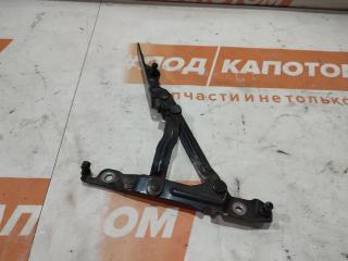 петля крышки багажника Mazda 3 1 поколение [рестайлинг] 2007, 1.5 л., ZY-VE, бензин, АКПП, 16w, седан, передний привод