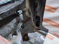 четверть передняя правая Hyundai ix35 1 поколение 2009, 2.4 л., G4KE, бензин, АКПП, tcm (phantom black), внедорожник 5 дв., 646022S500 - фото №12