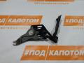 петля капота левая BMW X5 E70 2007, 4.8 л., N62 B48 B, бензин, АКПП, 475, внедорожник 5 дв., полный привод, 7148347 - фото №4