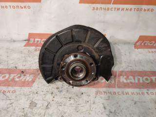кулак поворотный левый Volkswagen Tiguan 1 поколение 2009, 2.0 л., CAWA, бензин, АКПП, 8e / a7w, внедорожник 5 дв., полный привод, 1K0407621F, 1K0407255AA