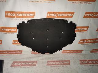 шумоизоляция капота BMW X5 E70 2008, 3.0 л., N52 B30 AF, бензин, АКПП, 300, внедорожник 5 дв., полный привод