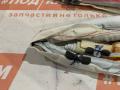 ШТОРКА AIRBAG прав. Ford Kuga 2 поколение 2013, 1.6 л., JTMA, бензин, АКПП, frozen white, внедорожник 5 дв., полный привод, CV44N042D94AE - фото №4
